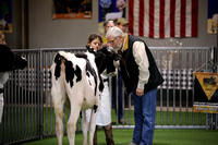 Dairy Show Ring Shots